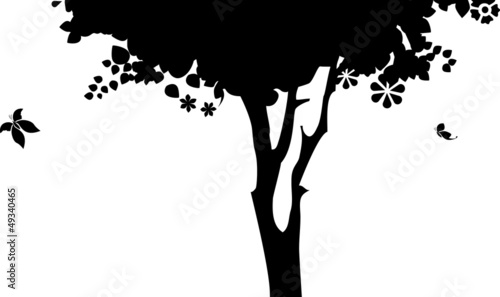 arbre