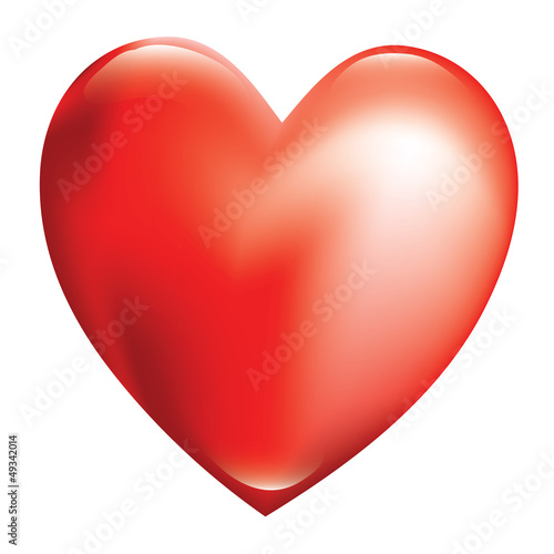 Heart
