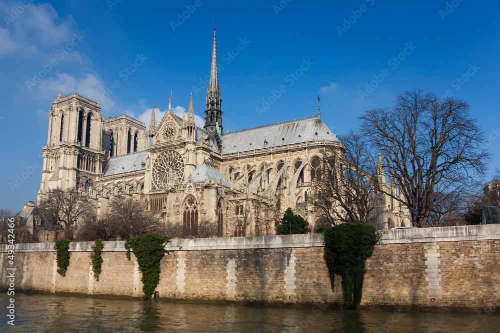 Cathedral of Notre Dame, Paris, Ile de France, France