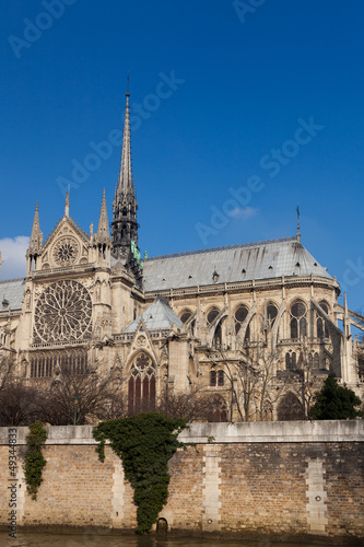 Cathedral of Notre Dame  Paris  Ile de France  France