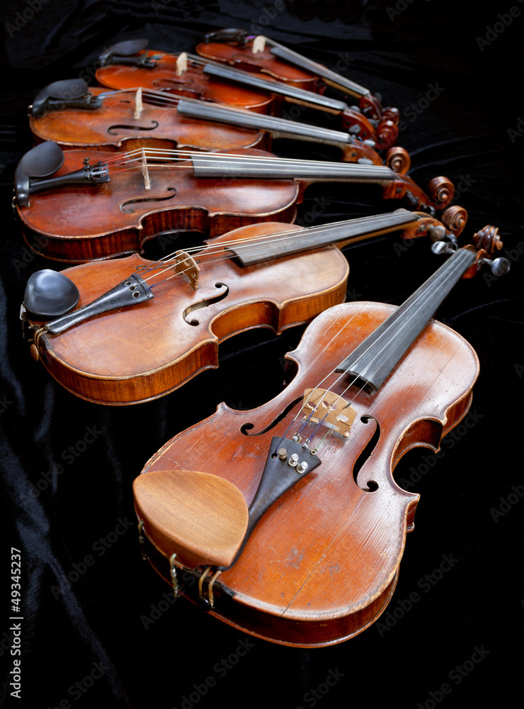 Fototapeta premium different sized violins on black velvet