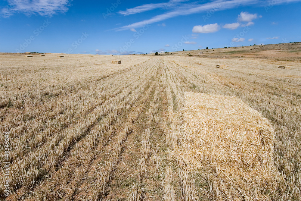 Bales of wheat, Sepulveda, Segovia, Castilla y Leon, Spain