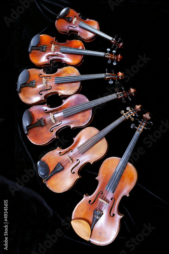 family of different sized fiddles on black photo