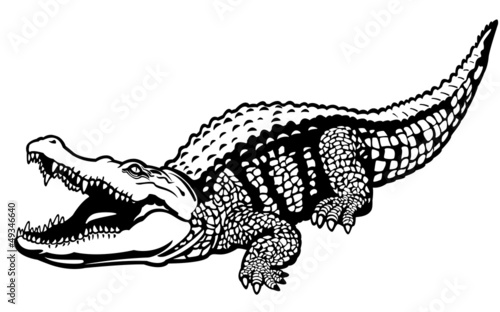 Canvas Print nile crocodile black white