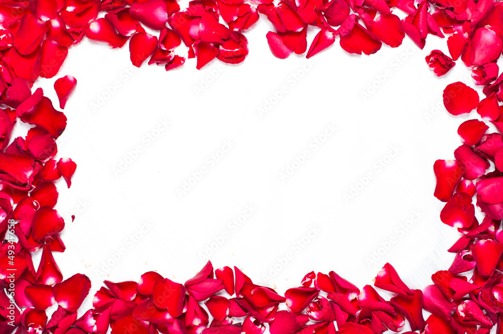 rose corolla frame rose corolla frame