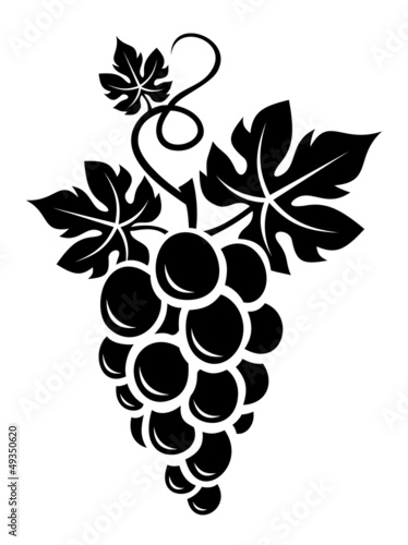 Black silhouette of grapes. Vector illustration.
