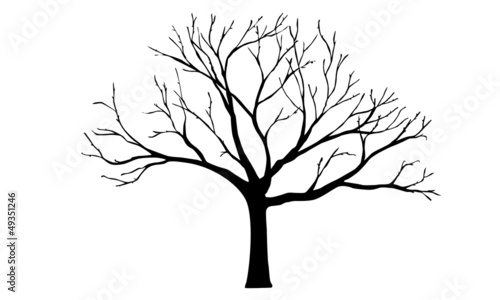 Tree vector