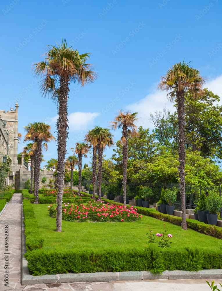 Fototapeta premium garden with palm trees and flowers.