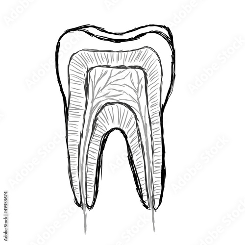 doodle tooth