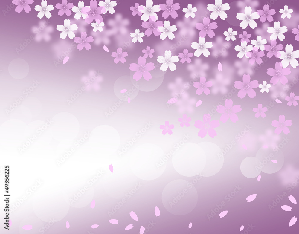 夜桜 夜桜
