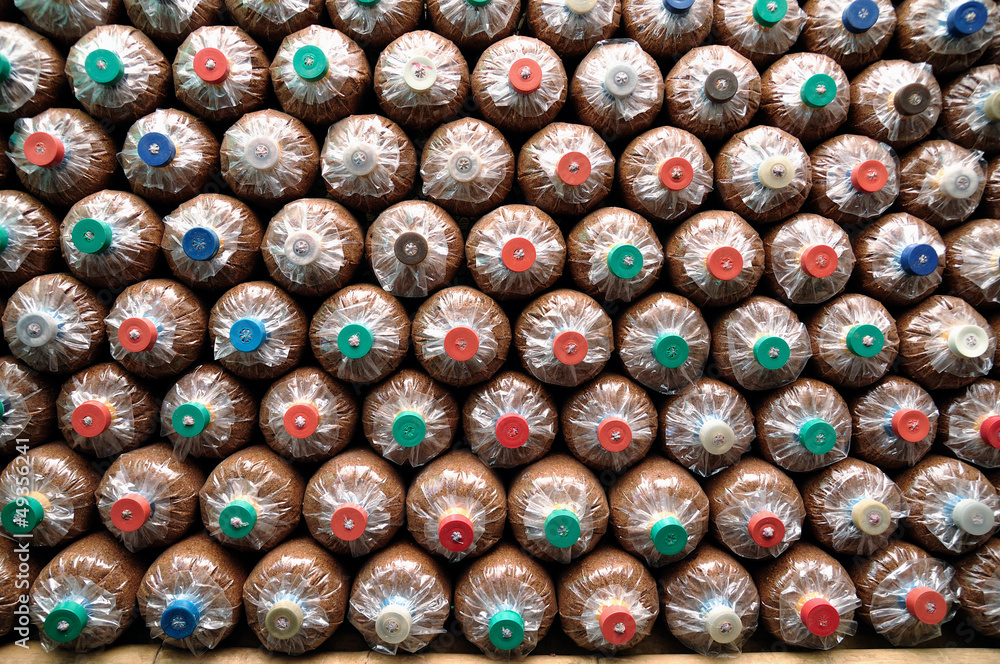 New sawdust cap of mushroom waiting to sale