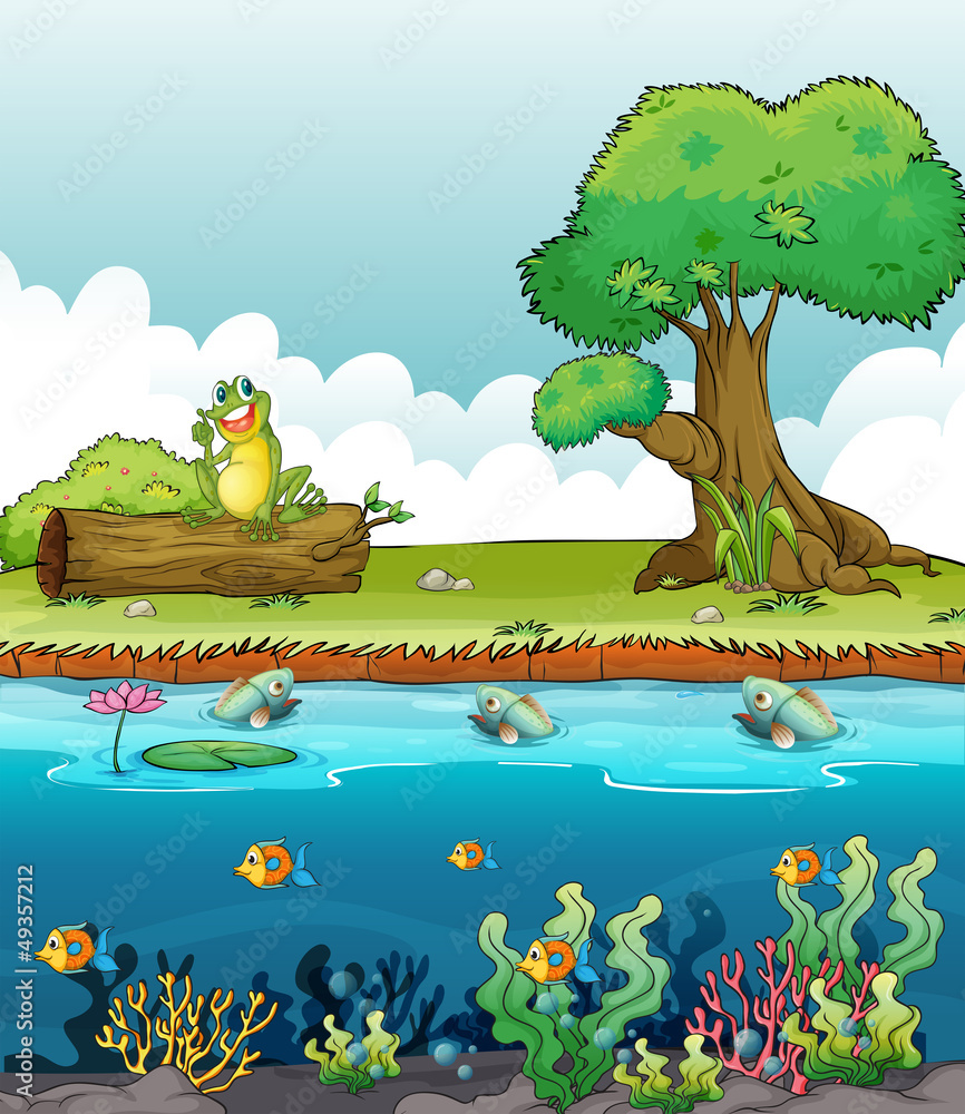 Fotobehang Onderzeeër Een rivier en een lachende kikker #49357212