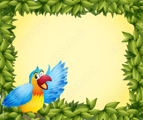 A colorful parrot and the green leafy frame