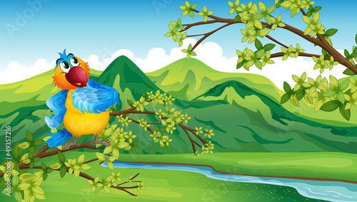 A parrot across the river