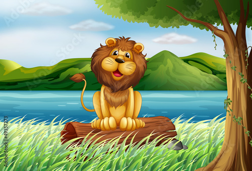 A lion at the riverbank