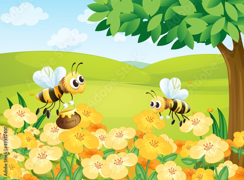Bees looking for foods