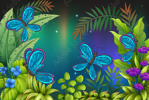 A garden with many butterflies