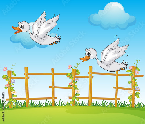 A flying bird