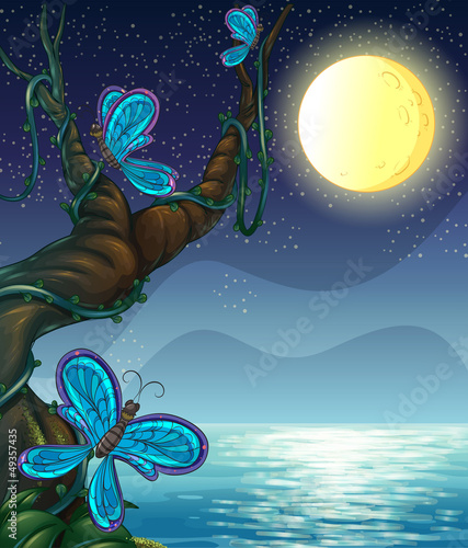 Butterflies roaming around a big tree