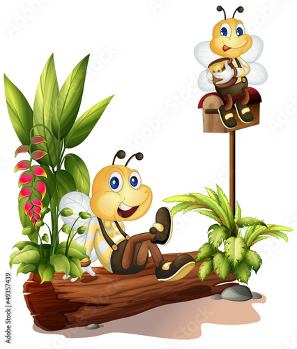 Bees sitting on a trunk and on the mailbox