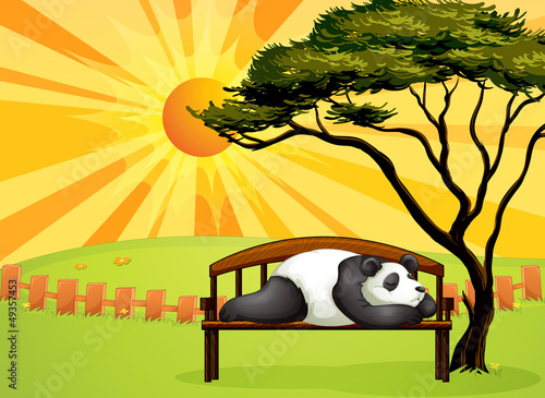 A bear sleeping on a bench