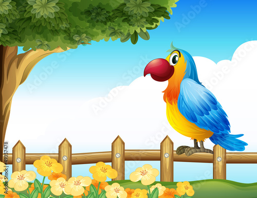 A bird standing on a  fence