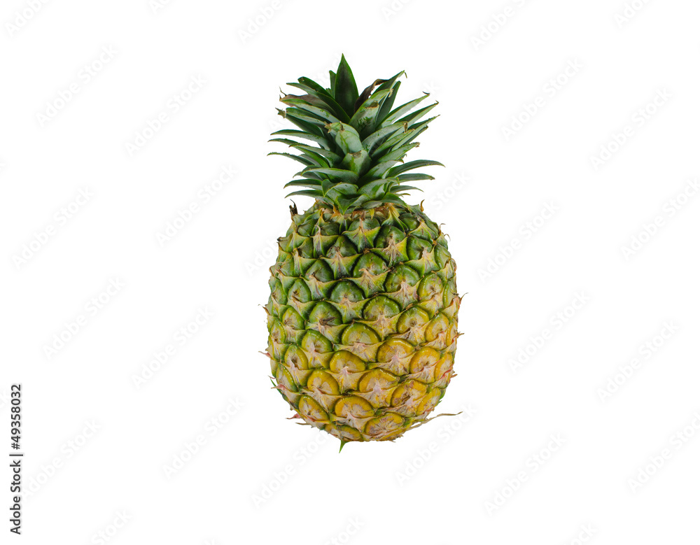 Fototapeta premium Pineapple
