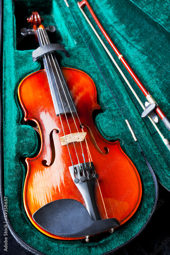 Fototapeta premium fiddle with bow in green velvet case