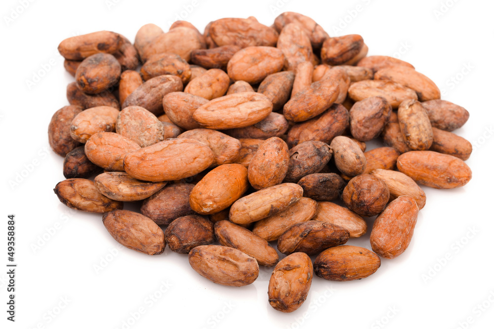 cacao beans cacao beans