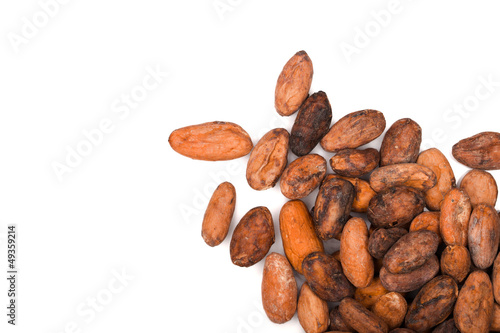 cacao beans