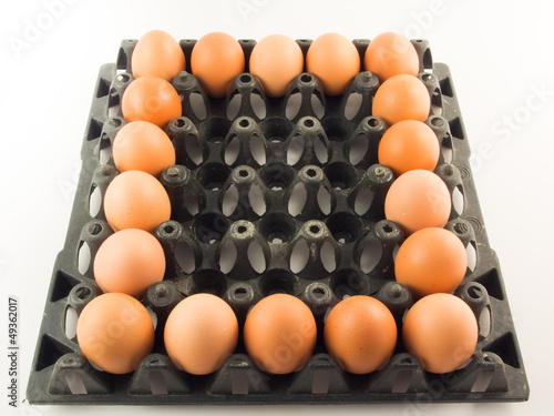 zero-shaped eggs in panal © maikuto