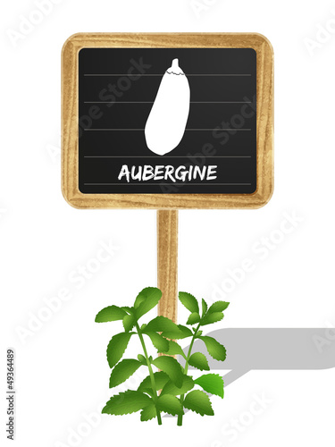 Aubergine Schildchen Vektor