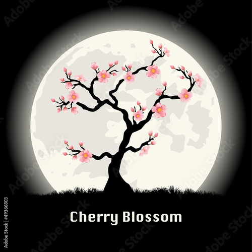Sakura tree in front of the moon at night.