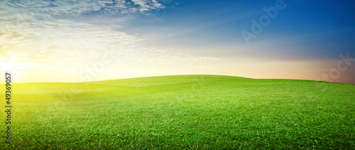 Fotografie, Tablou Panoramic meadow