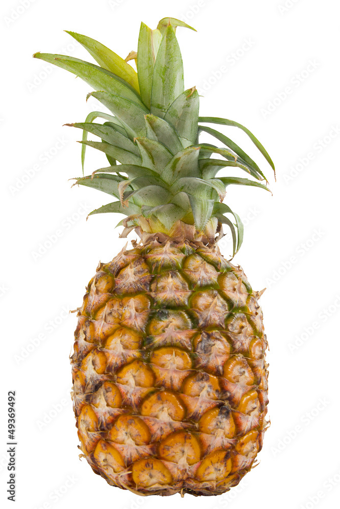 Fototapeta premium pineapple on white