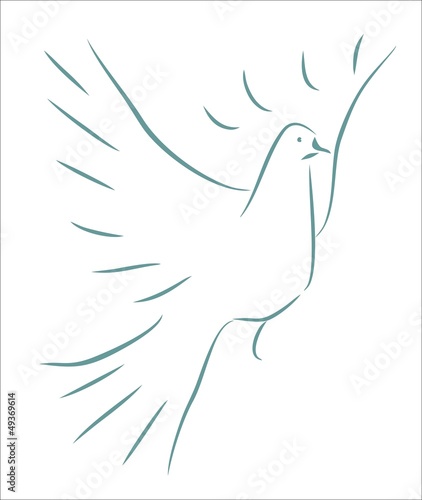 dove - simple sketch