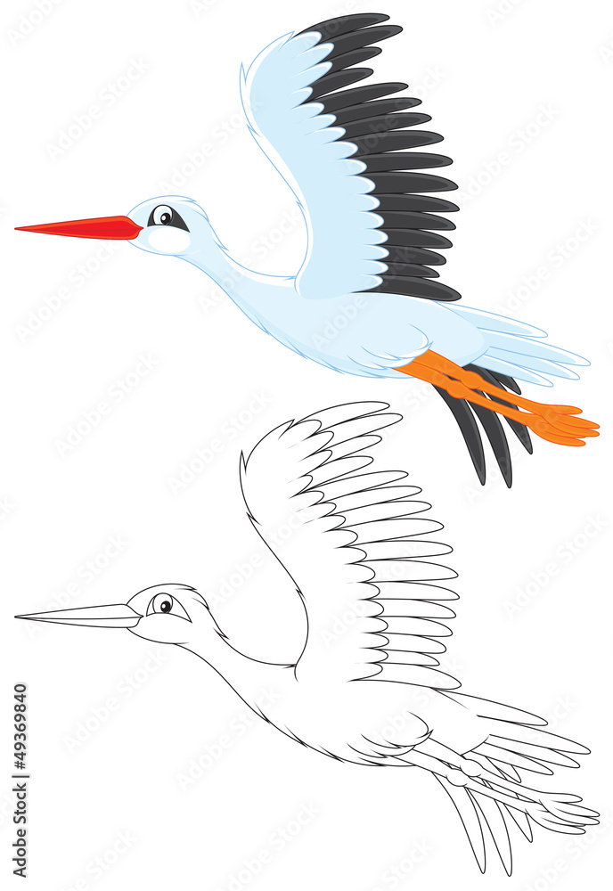 Fototapeta premium Stork