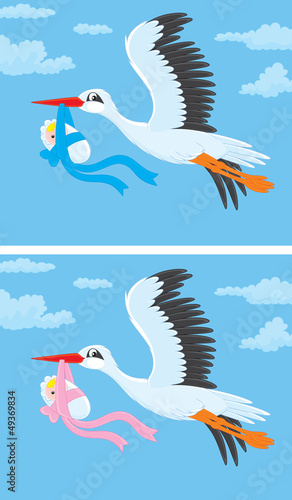 White stork flying with a newborn baby