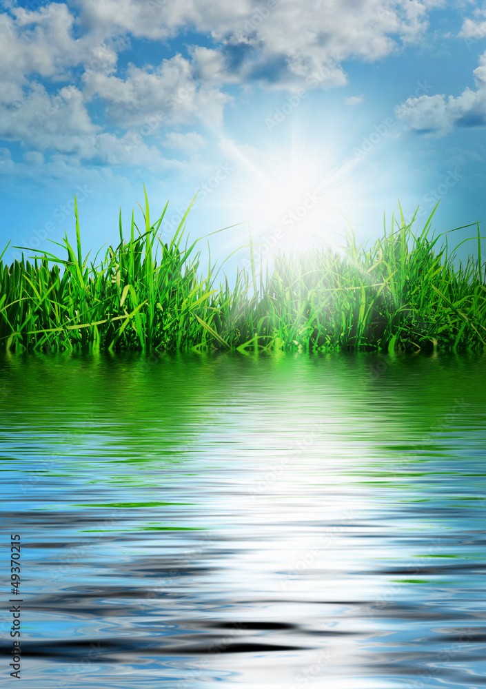 Obraz premium Green grass against a blue sunny sky