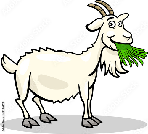 goat farm animal cartoon illustration