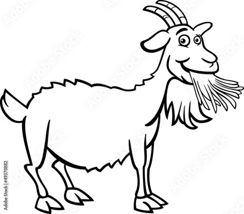 farm goat cartoon for coloring book