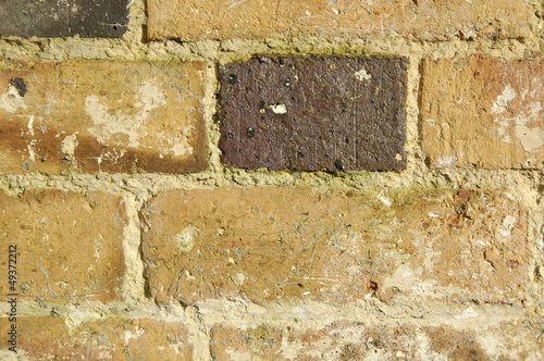 Old Brick Wall