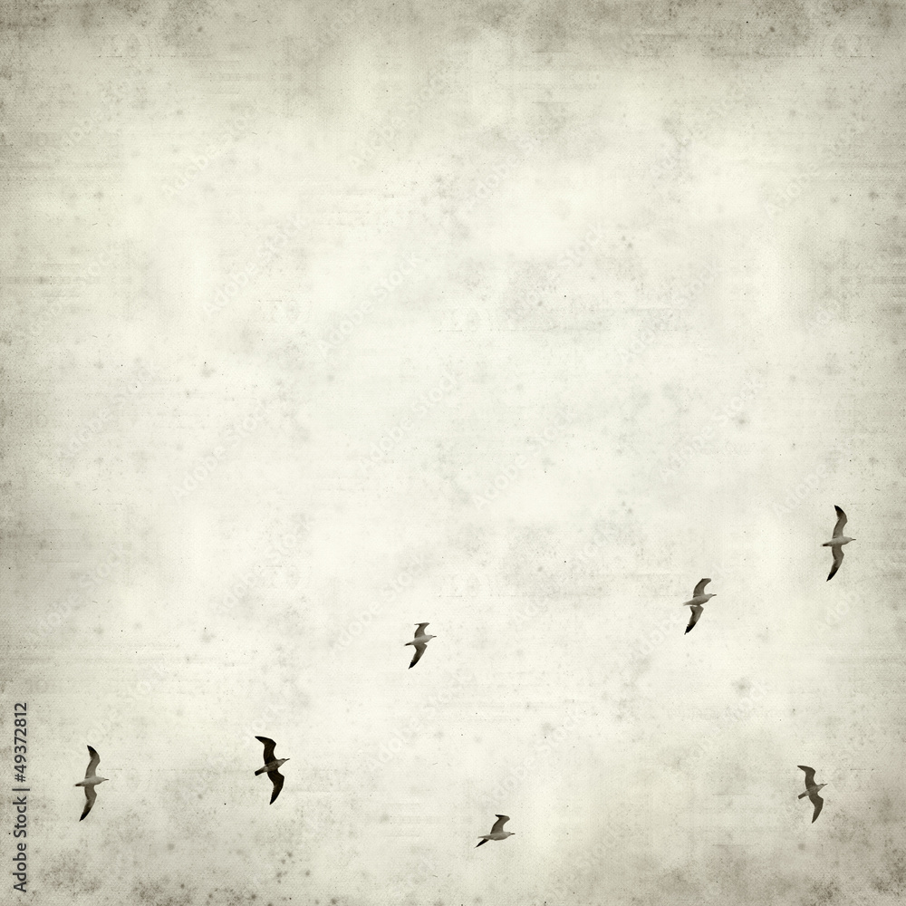 Fototapeta premium textured old paper background