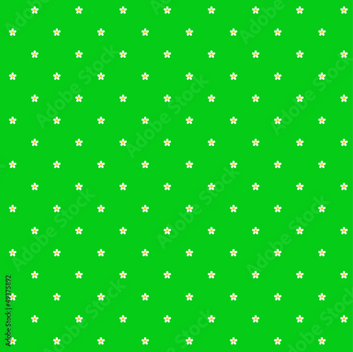 Gänseblümchen