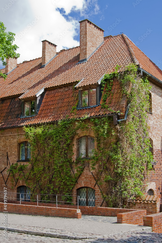Old building with ivy in Malbork