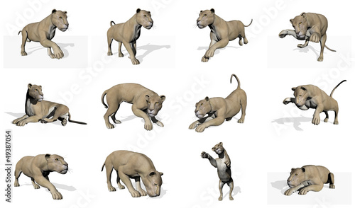 Lioness set - 3D render
