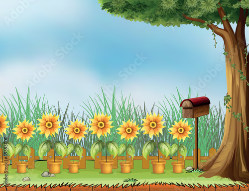 A letter box and flower pot