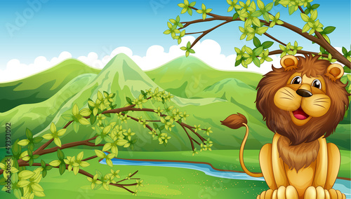 A lion and a mountain