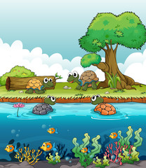 Handdoek met foto Onderwaterwereld Lachende schildpadden in rivierlandschap  © GraphicsRF