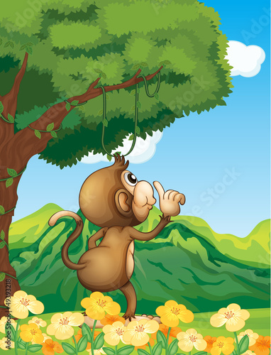 A monkey wondering in the forest